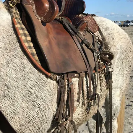 Appartement Le Château Leenhardt