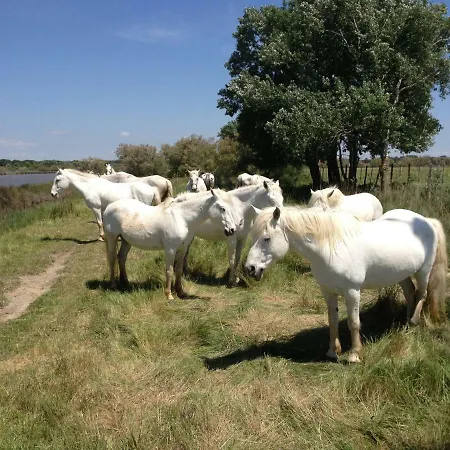 Le Château Leenhardt Appartement *