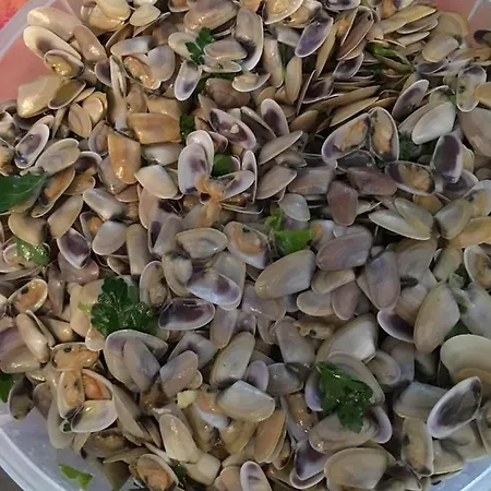 Appartement Le Château Leenhardt