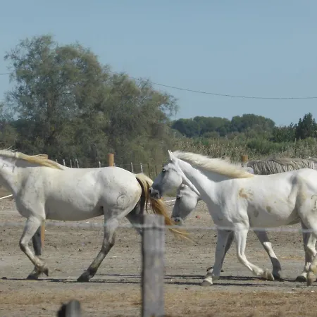 Le Chateau Leenhardt *