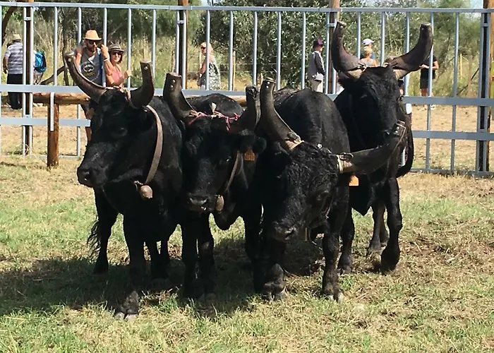 Le Chateau Leenhardt 르그로뒤후아