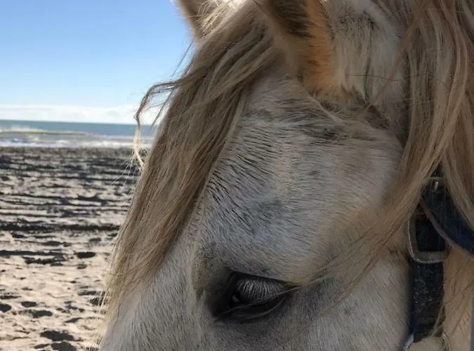 Le Chateau Leenhardt 르그로뒤후아