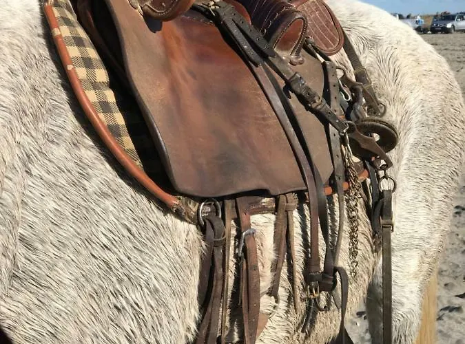 아파트 Le Chateau Leenhardt