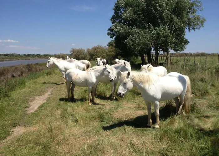 Le Chateau Leenhardt 아파트 *