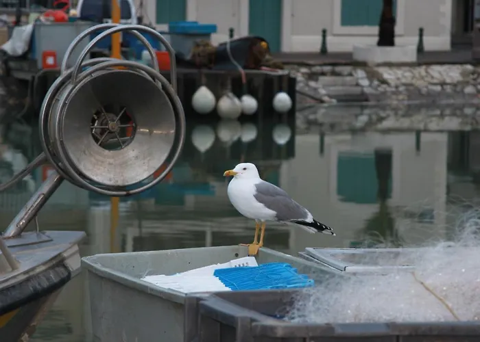 Le Chateau Leenhardt 아파트 르그로뒤후아