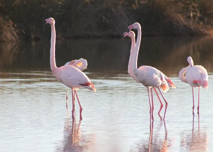 Le Chateau Leenhardt * 르그로뒤후아