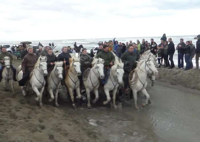 아파트 Le Chateau Leenhardt 르그로뒤후아